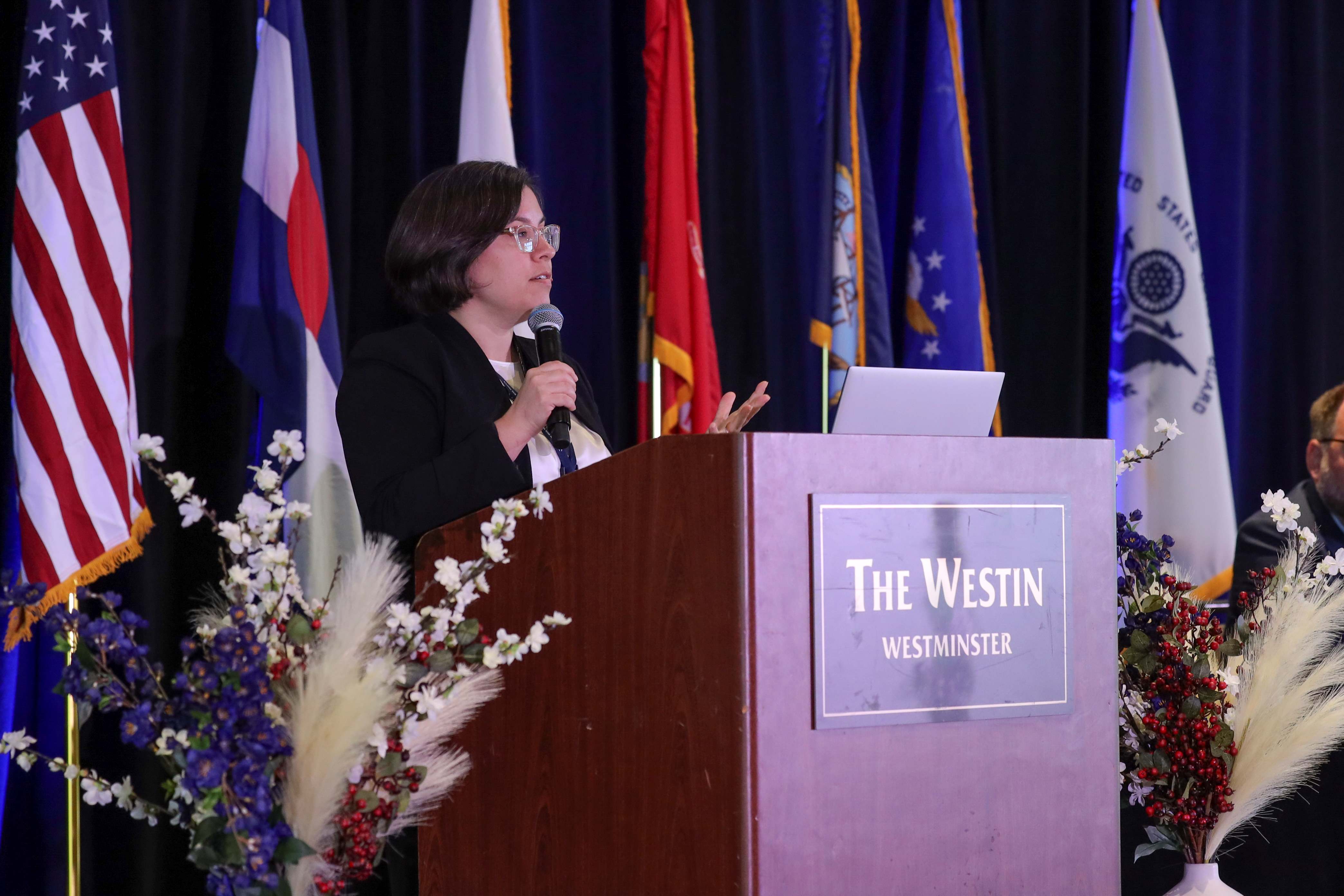 MIRECC TWV Project Director Dr. Joanna Sells speaking at the 2023 TWV Summit MIRECC TWV Project Director Dr. Joanna Sells speaking at the 2023 TWV Summit